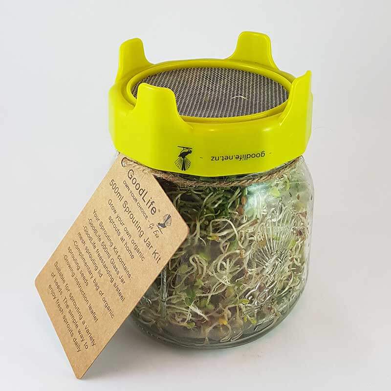 500ml Sprouting Jar Kit Just Like You
